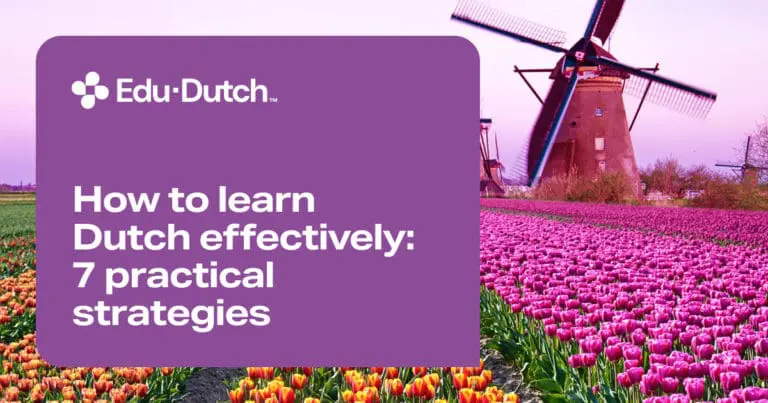 How to learn Dutch effectively: 7 practical strategies